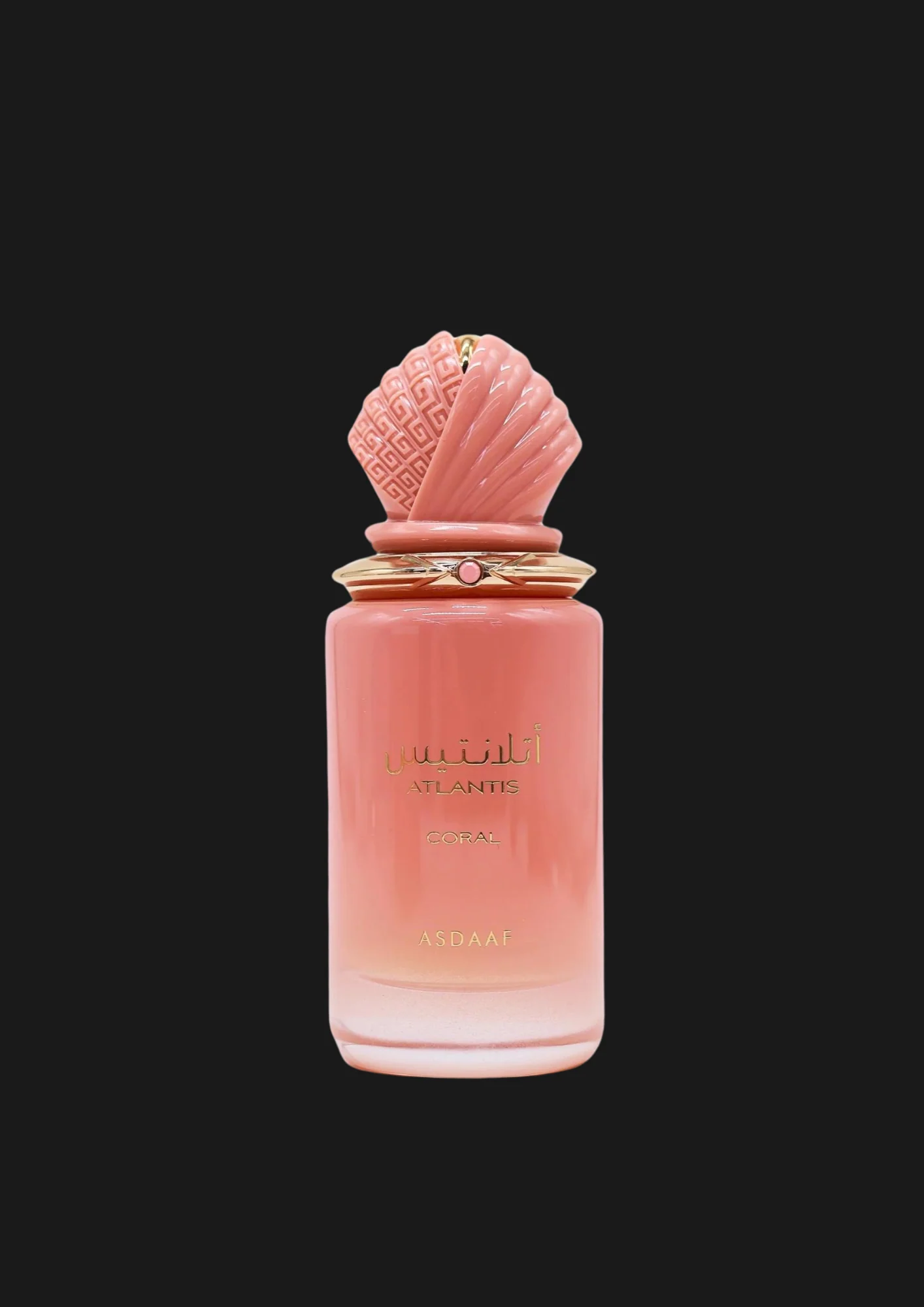 Asdaaf - Atlantis Coral - Image 2