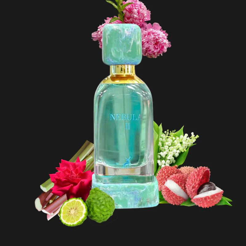 Maison Alhambra Nebula II Eau de Parfum 100ml Unissex Oriental - Image 2